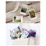 Fujifilm Instax Mini Instant Film Sample Photo